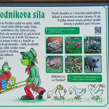 Petra Vendégház